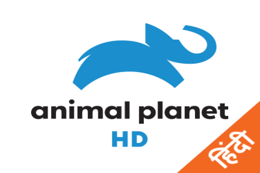 channel
